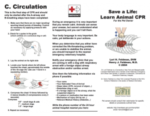 Free Printable Pet CPR and Emergency Dog & Pet Medical Posters: How to ...