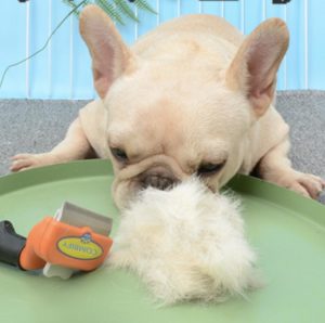 Furminator french outlet bulldog