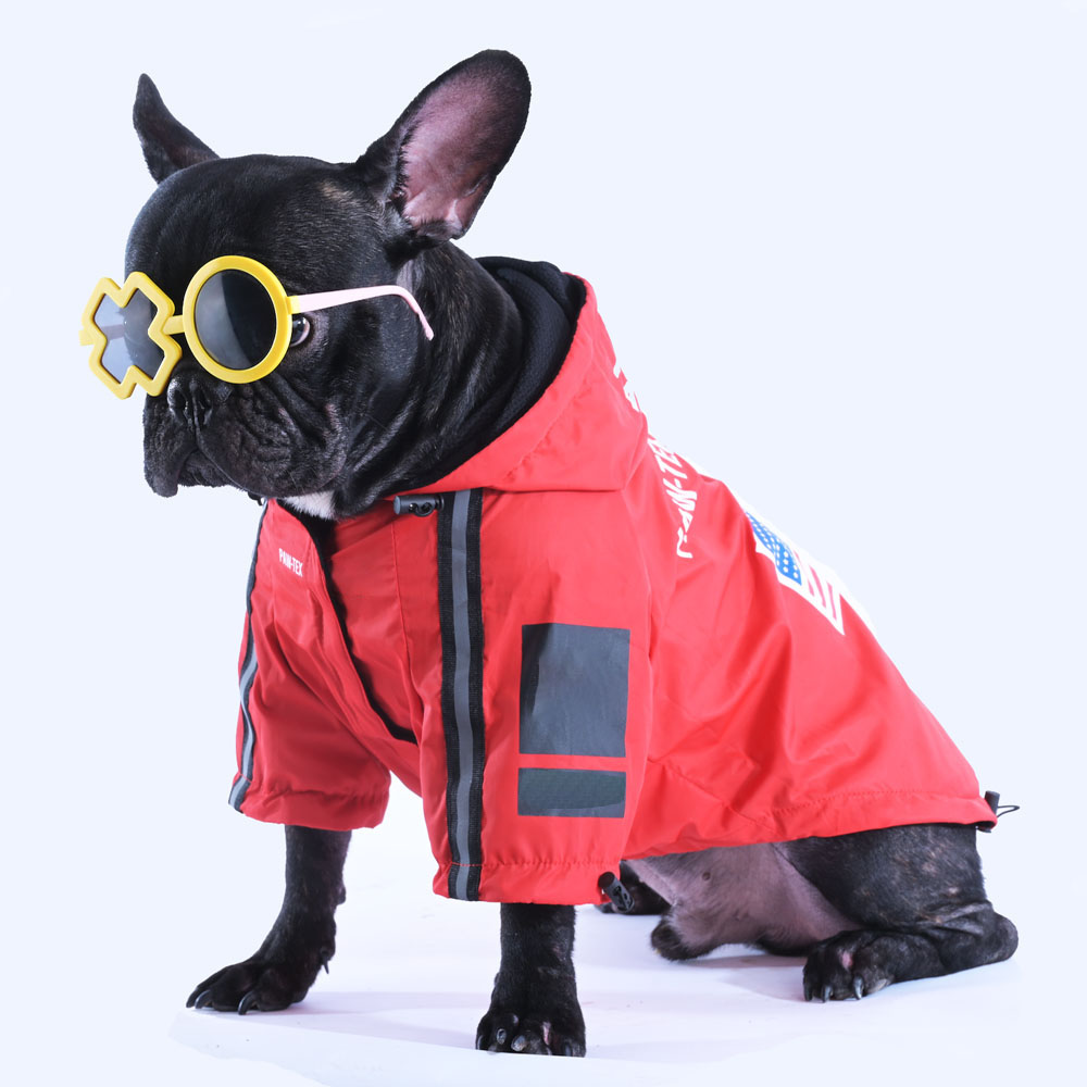 5 Best French Bulldog Winter Coats All About Frenchies