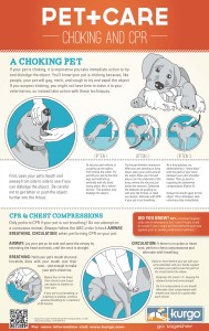 Free Printable Pet CPR and Emergency Dog & Pet Medical Posters: How to ...