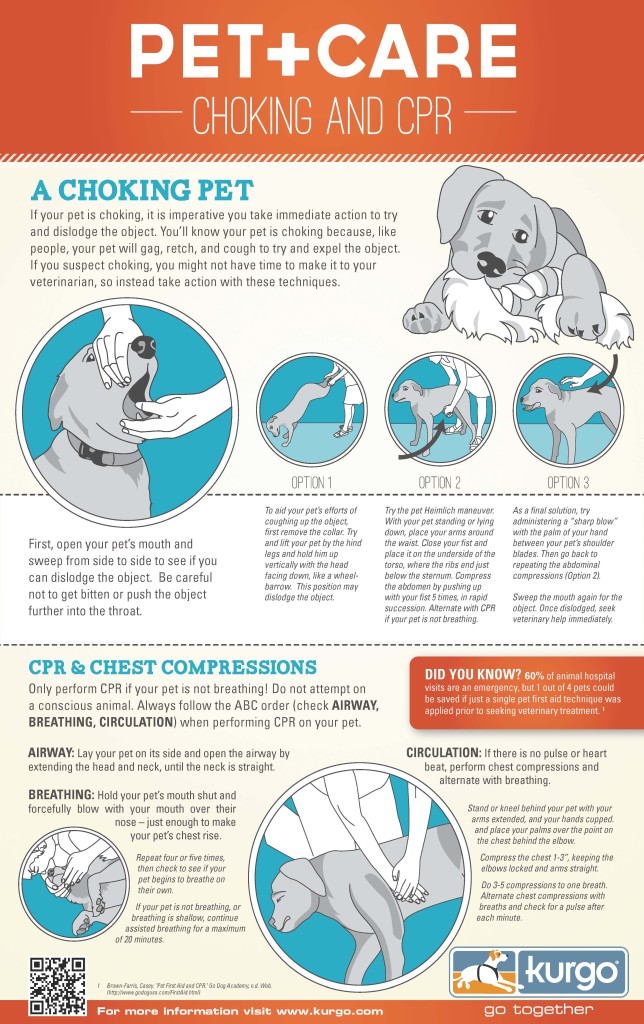 Free Printable Pet Cpr And Emergency Dog & Pet Medical Posters: How To 