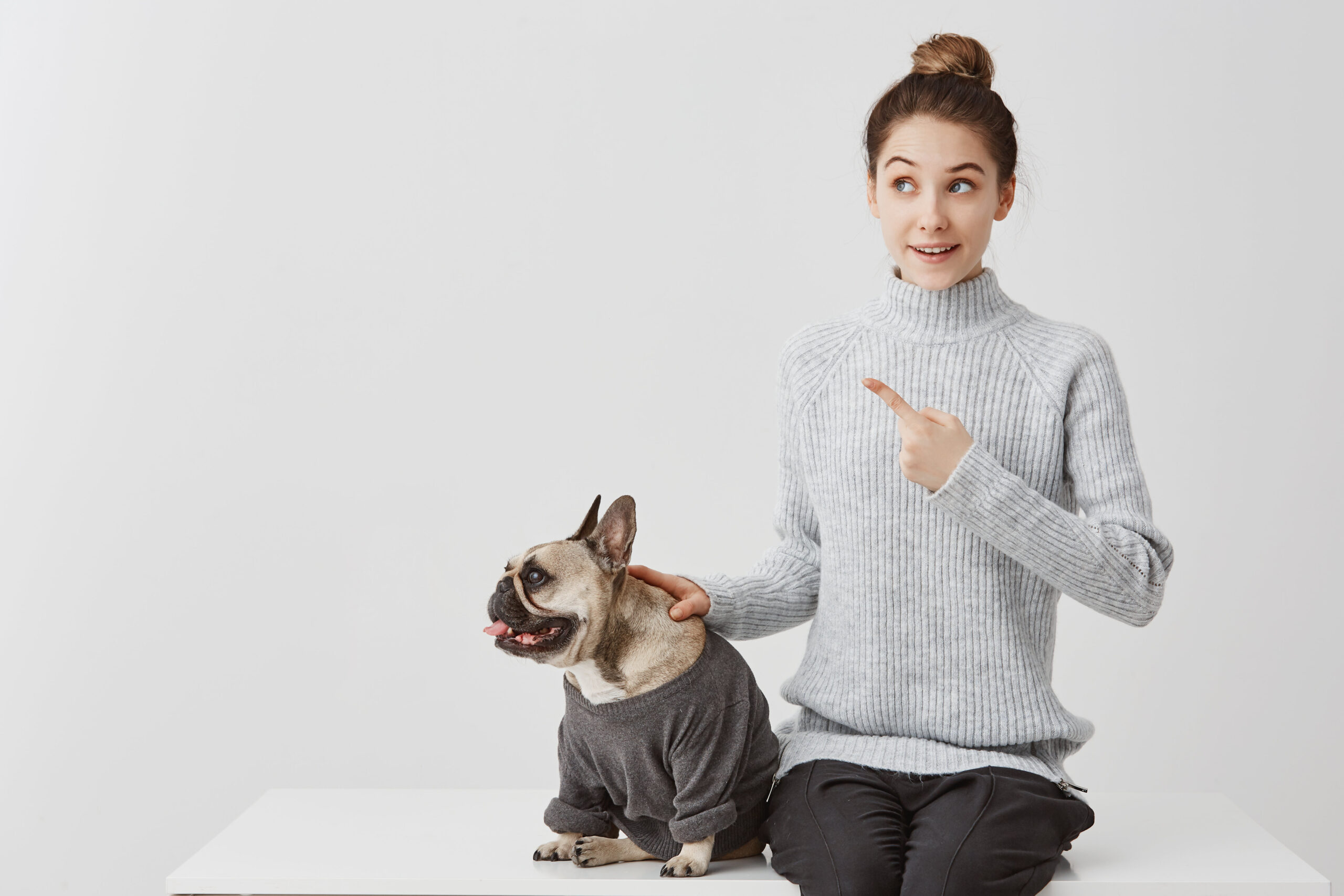 Are French Bulldogs Good Therapy Dogs